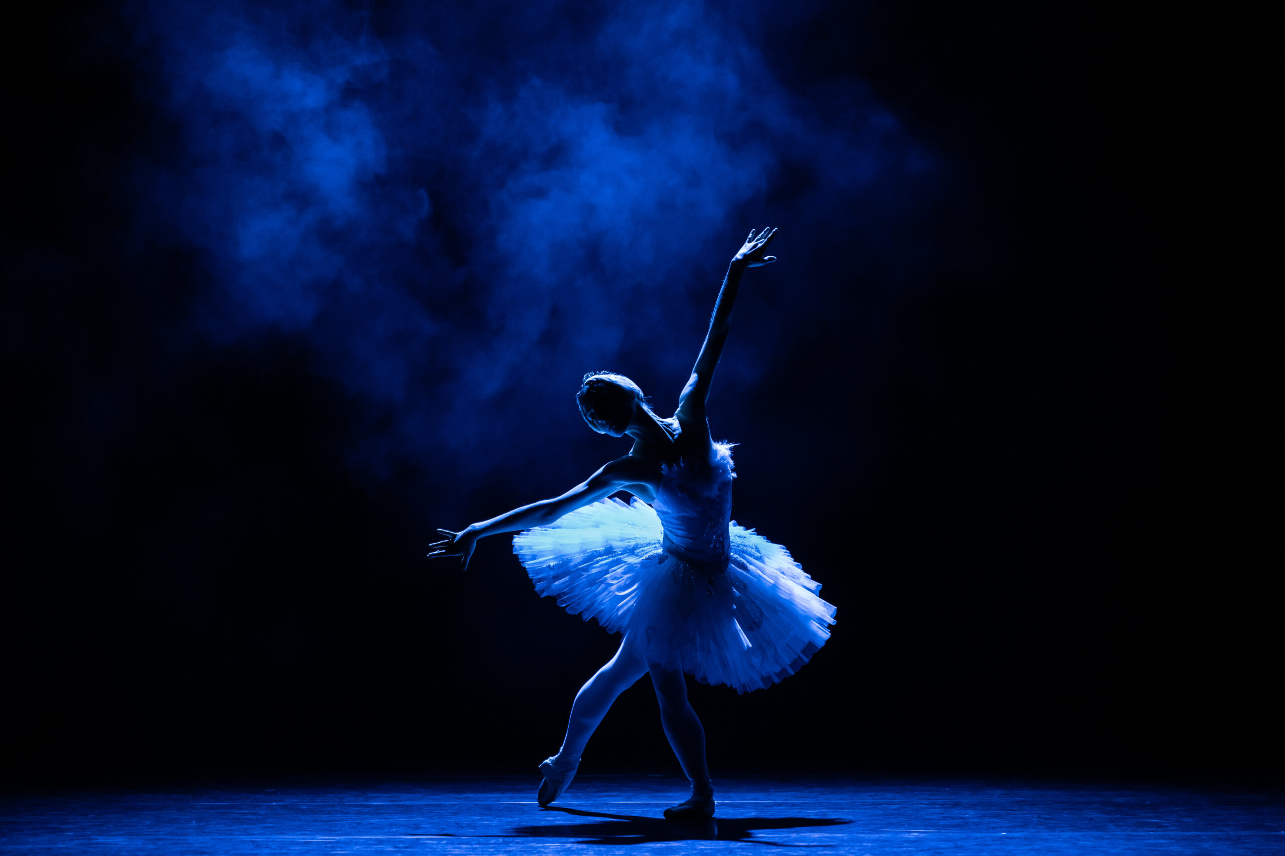 Lire la suite à propos de l’article Secrets du ballet